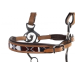 Esprit Hackamore Bitless Bridle & Reins
